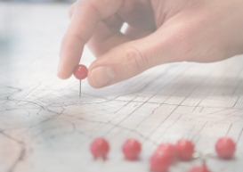 Delegados representantes participam de reunião de encerramento do ano