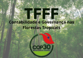 Sucesso de instrumento financeiro lançado na COP 30 depende de estrita governança e controle contábil