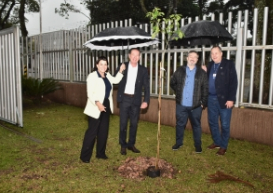 Relações Sociais CRCPR 2025: compromisso social, avanço em sustentabilidade e impacto humano